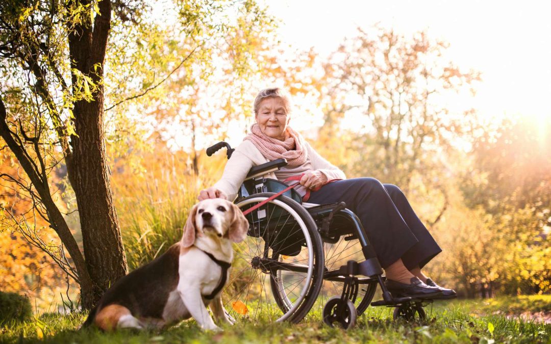 Unleashing Joy: The Remarkable Benefits of Pet Therapy in Senior Care